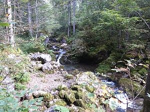 im Schwarzenbachtal