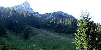 Blick auf Buchstein und Großstein