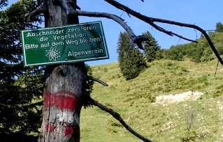 Bleib auf dem Weg!