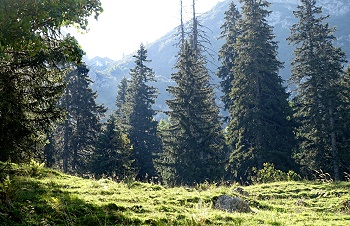 Blick zur Tegernseer Hütte