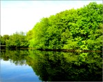 the upper lake Mühlenteich