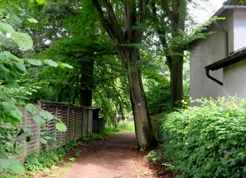 Großhansdorf, wir verlassen den Waldreiterweg