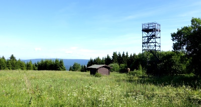 Schalker Turm im Harz