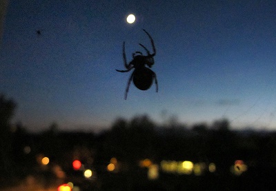 Ungeheuer greift Mond an