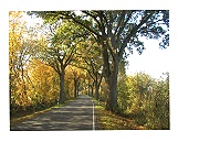 Herbst auf UFO