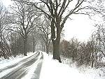 Winter-Original